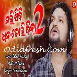 Marijibi Dhana Tori Bina - 2